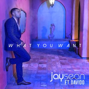 Jay Sean - What You Want (ft. DaVido) (Official Instrumental) 原版无和声伴奏 （降4半音）