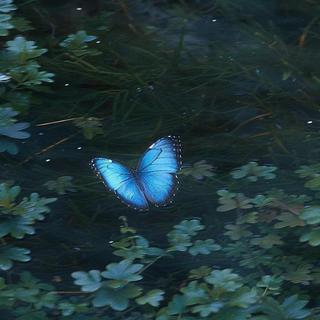 「掌管宿命感」爆好听的神级纯音乐