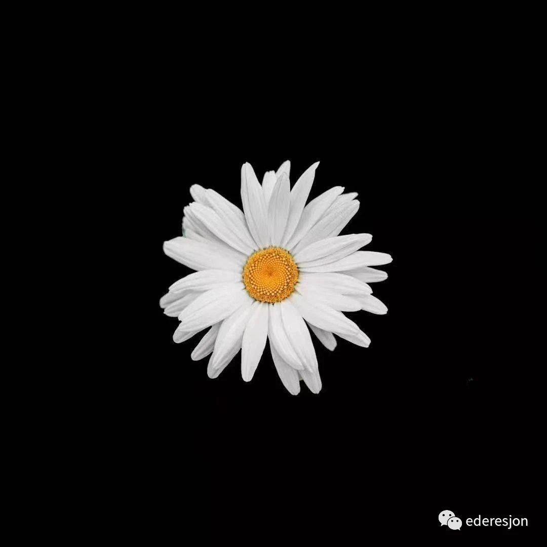 Я Тебя люблю