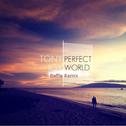 Perfect World (Baffle Remix)专辑