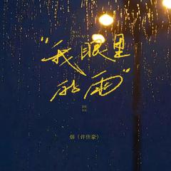 我眼里的雨