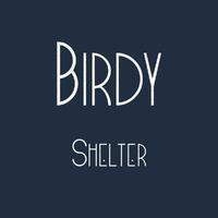 Shelter - Birdy (karaoke Version)