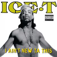 Ice-T - Mixed Up (instrumental)