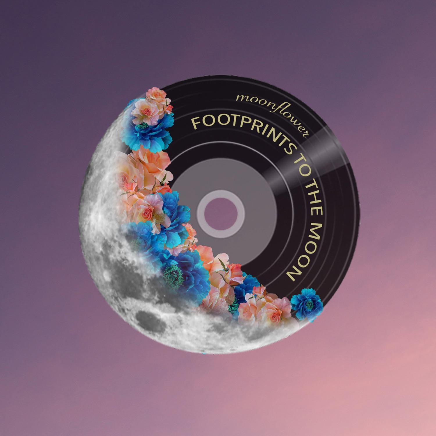 Footprints to the Moon