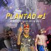 MC RF3 - Plantão #1