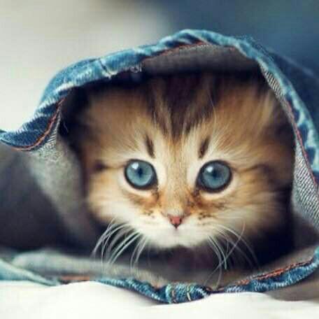 轻快的节奏带来愉悦的心情 | 在线播放 | 网易云音乐