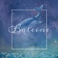 Baleine