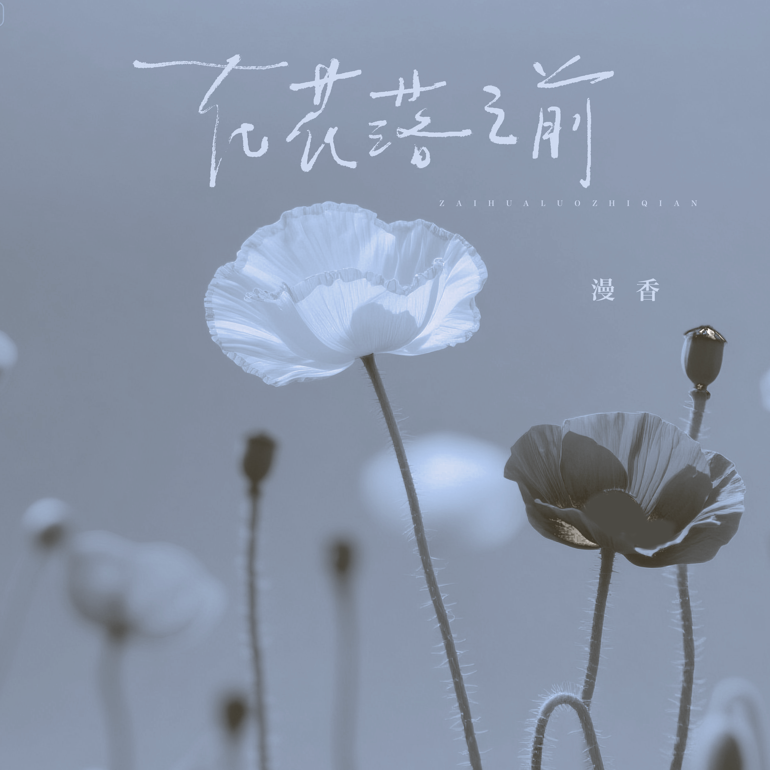 在花落之前（氛围版1.16x）