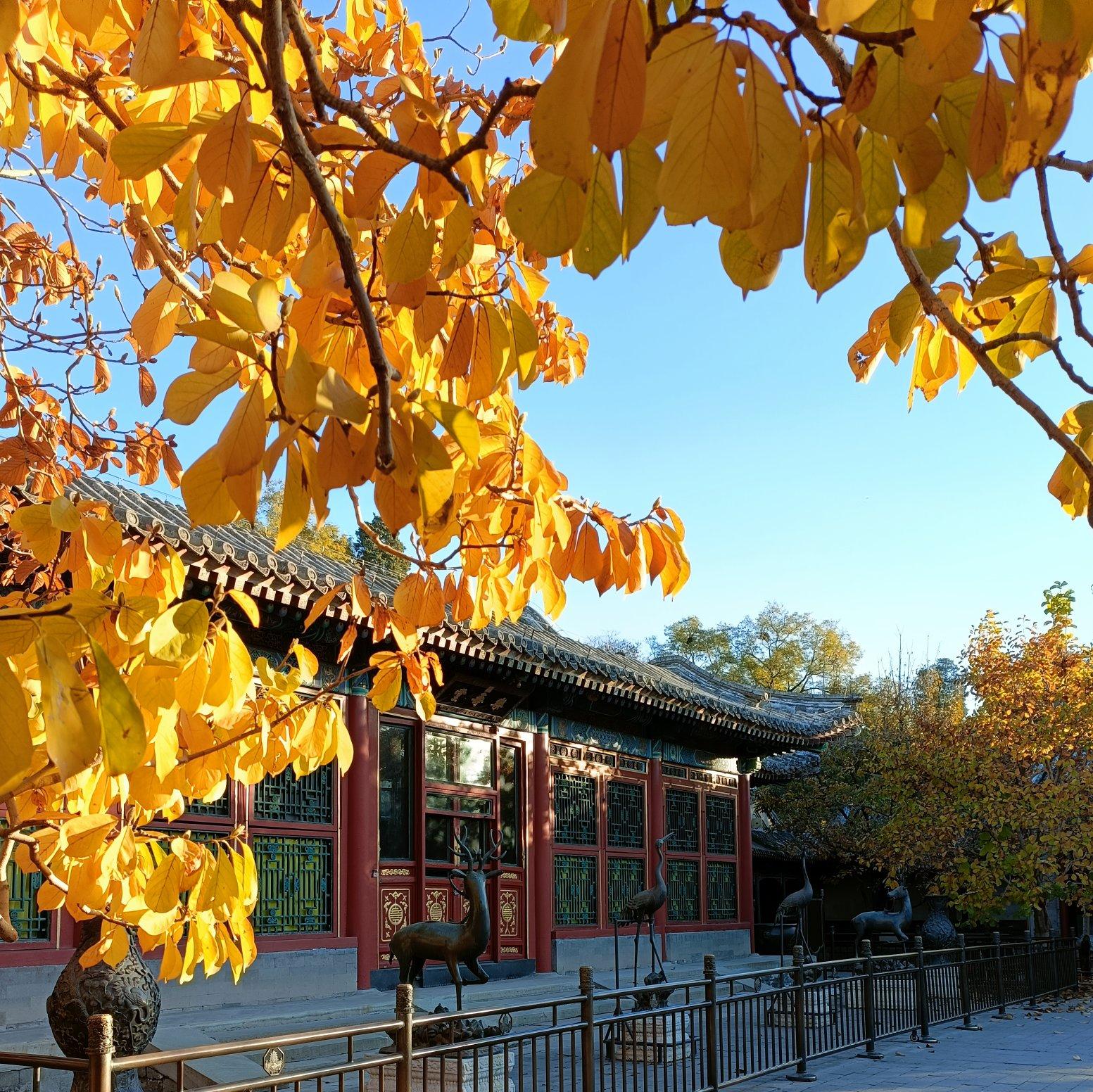 寂