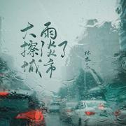 大雨擦淡了城市