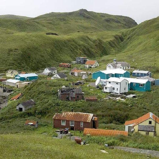 拾尽乡村好风景