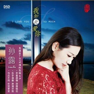 :)孙露专辑/车载备用