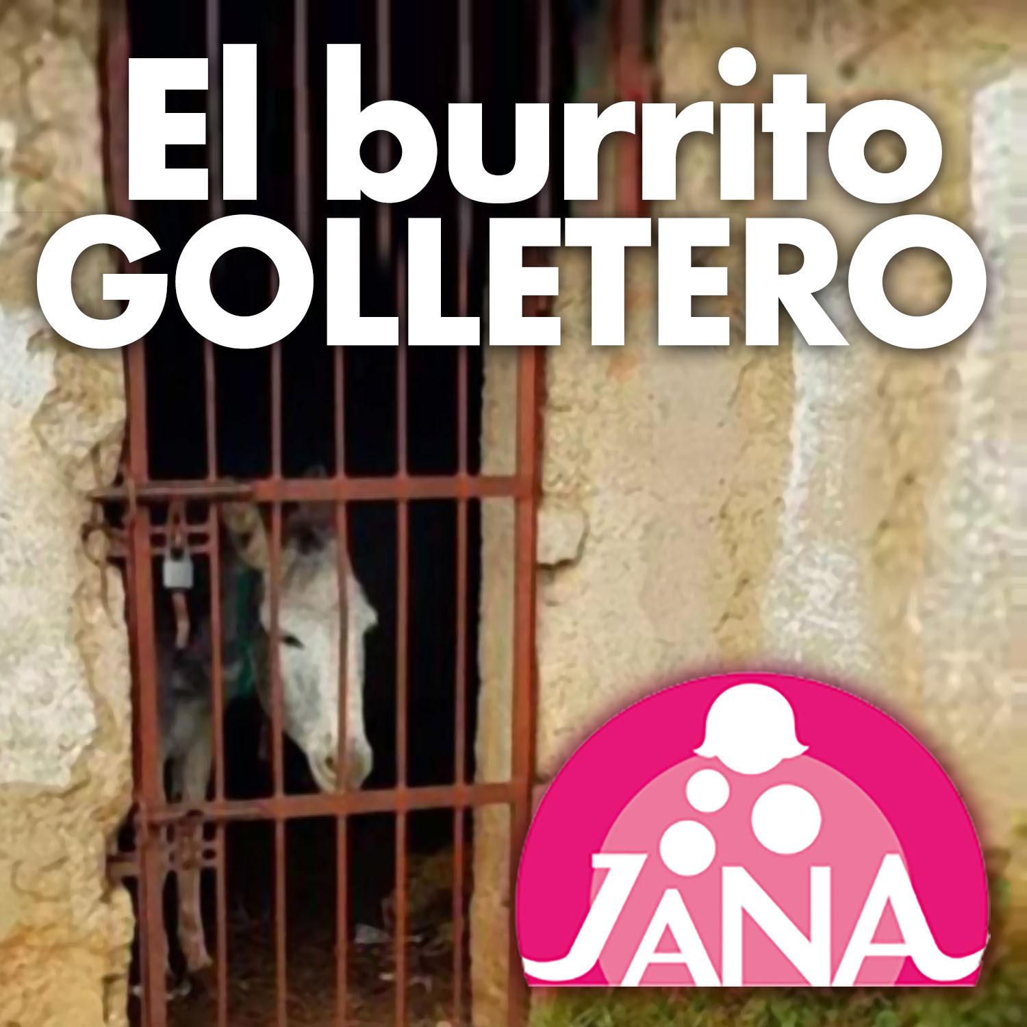 Jana - El Burrito Golletero