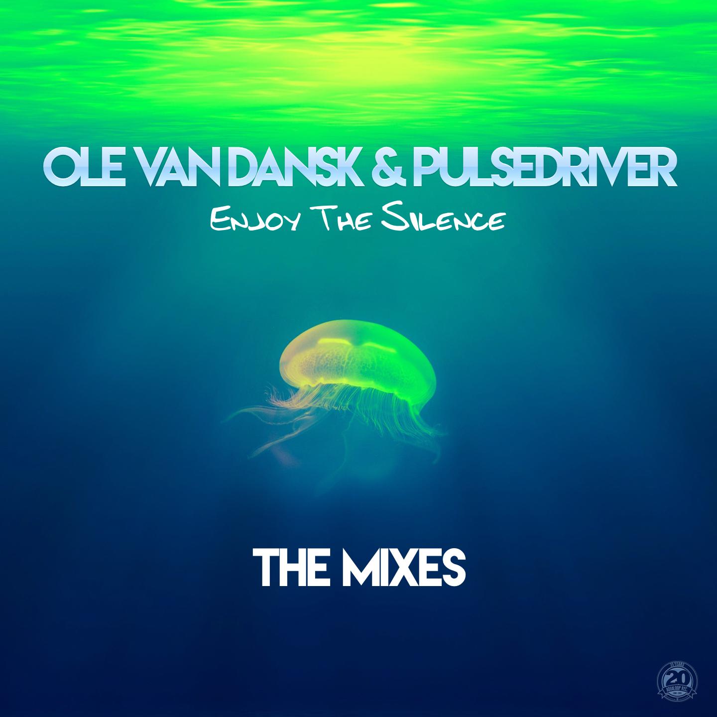 Enjoy the Silence (The Mixes)