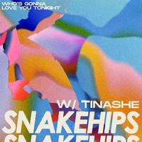 Snakehips & Tinashe - Who's Gonna Love You Tonight (Pre-V) 带和声伴奏