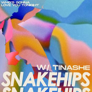 Snakehips & Tinashe - Who's Gonna Love You Tonight (Instrumental) 原版无和声伴奏 （升5半音）