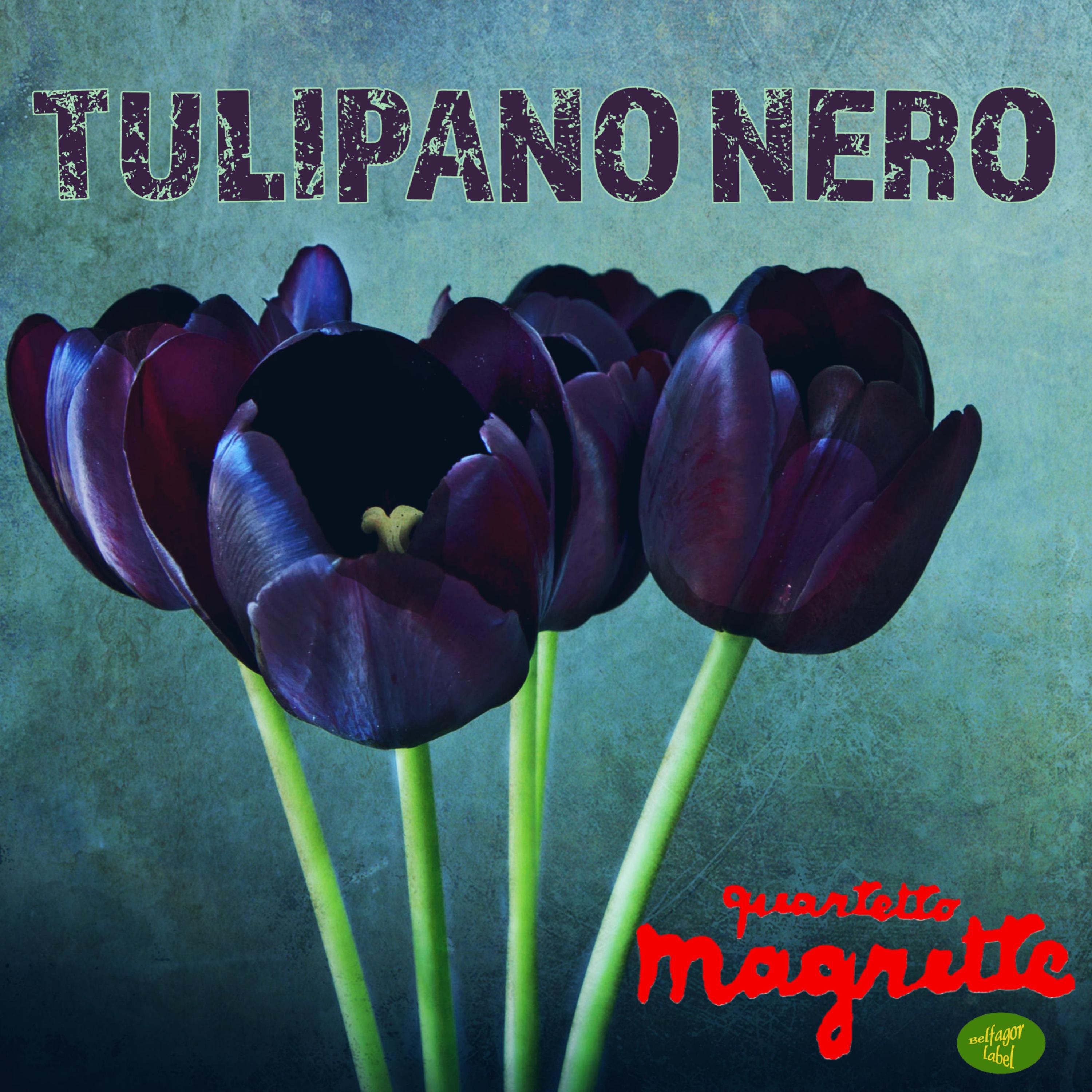 Quartetto Magritte - Tulipano Nero (feat. Maurizio Minardi & Simone Zanchini) (Deluxe Version)