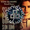 Selena Gomez - Slow Down (DjHope小春 Electro Mix)