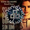 Selena Gomez - Slow Down (DjHope小春 Electro Mix)专辑