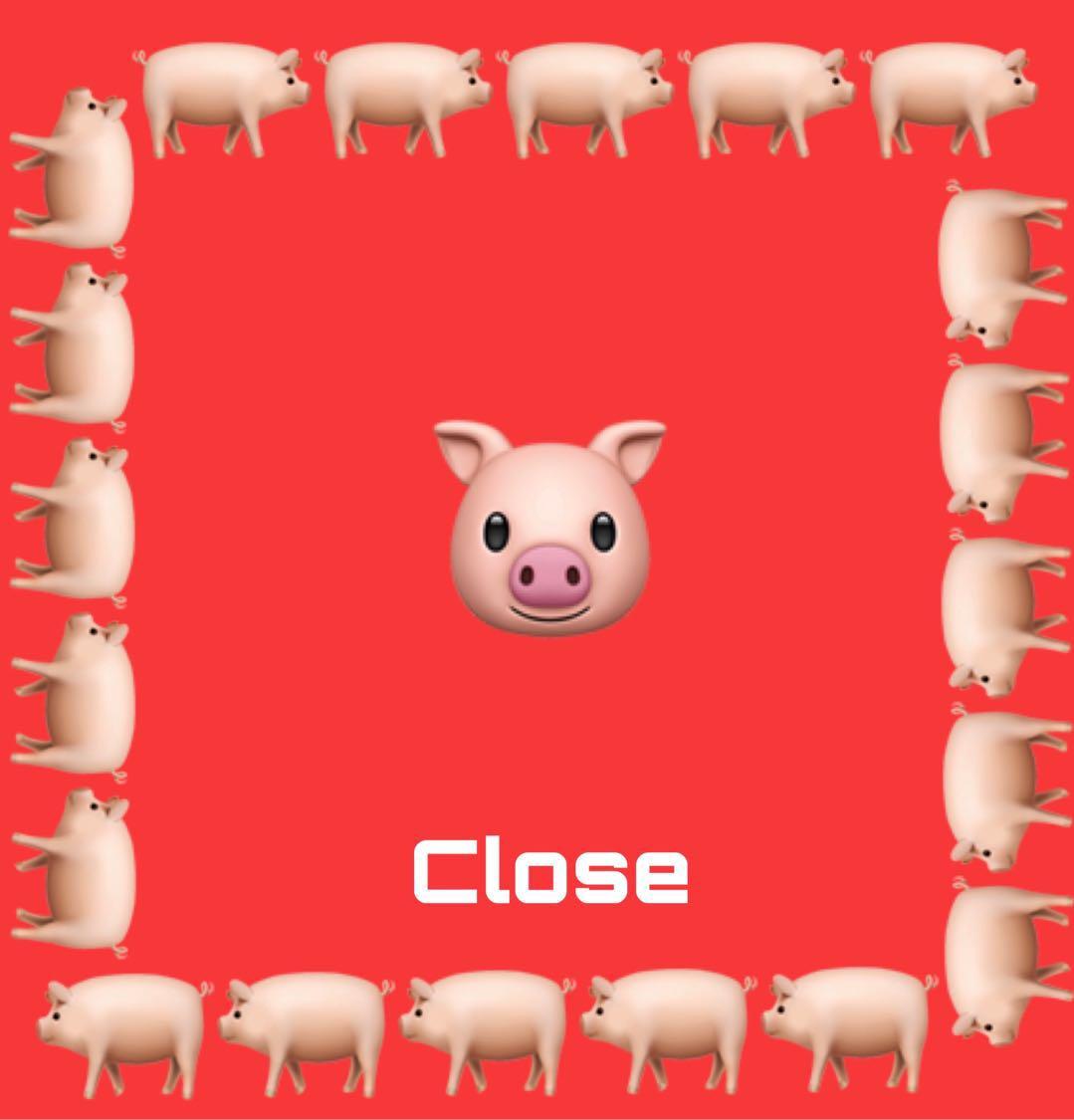 年(year of the boar)