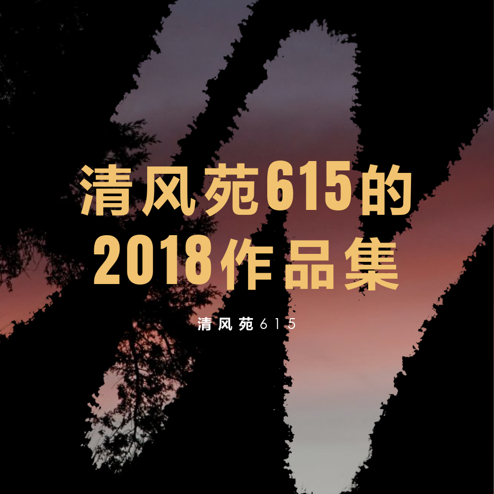 清风苑615的2018作品集专辑