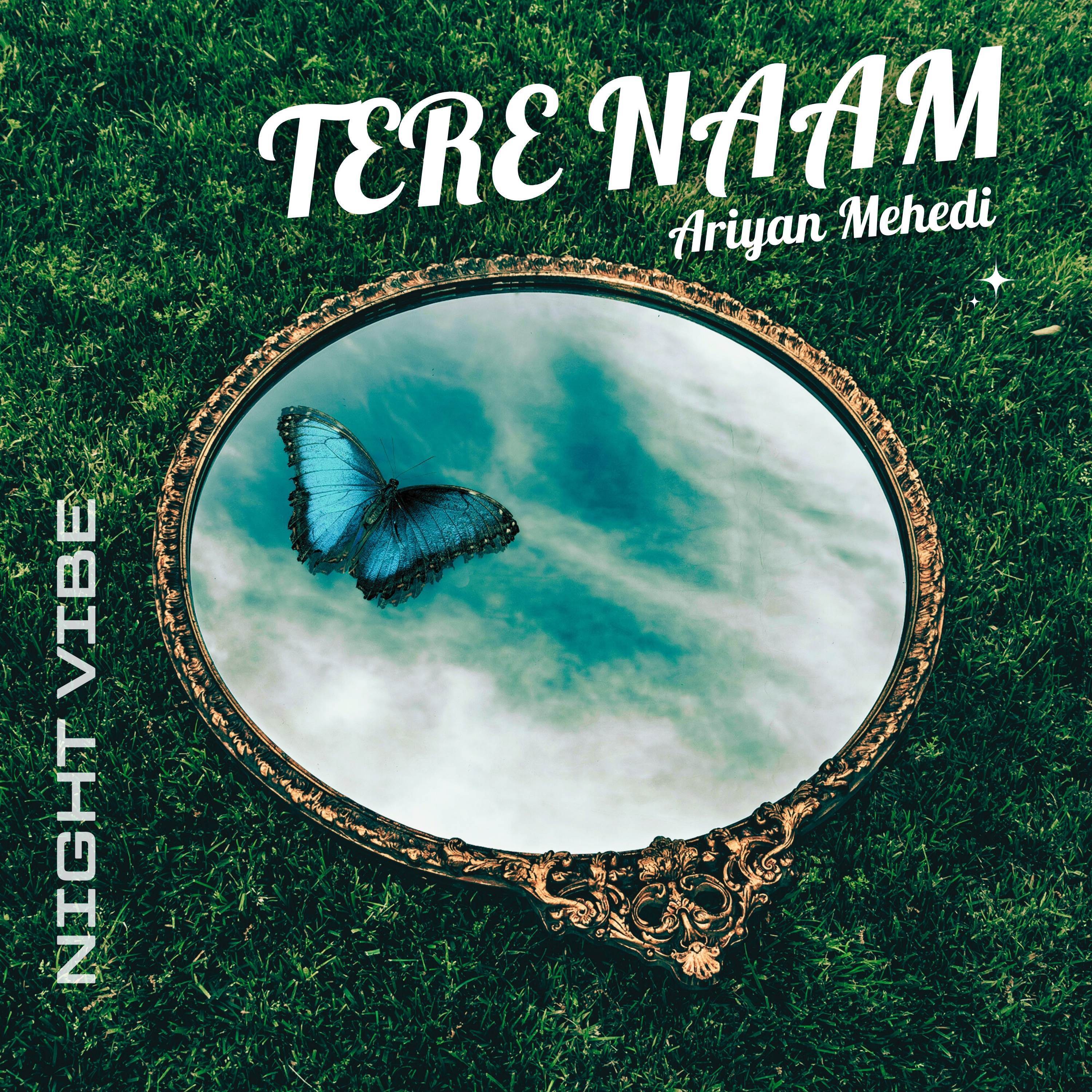 Ariyan Mehedi - TERE NAAM - NIGHT VIBE