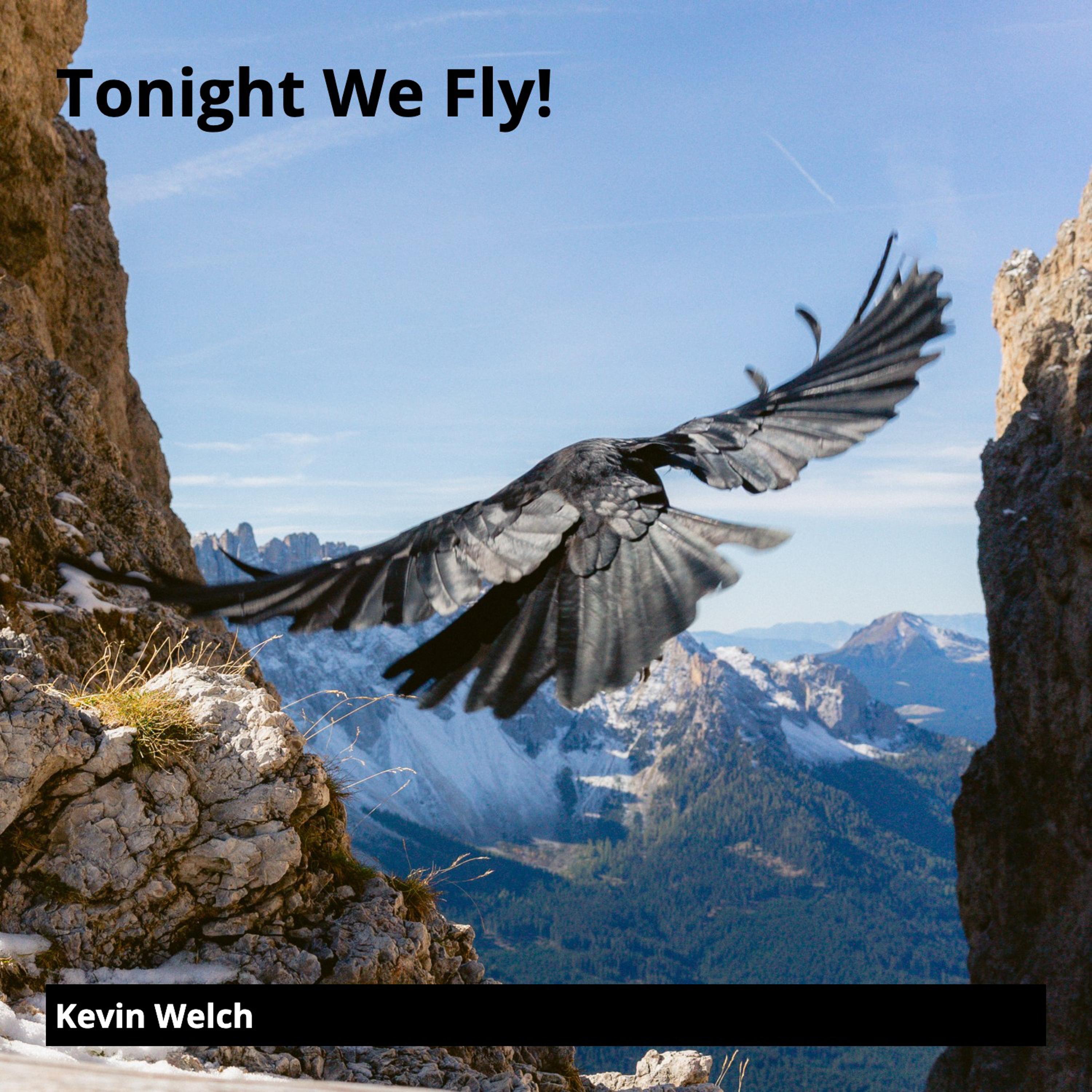 Tonight We Fly