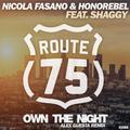 Own The Night (Alex Guesta Tribal Mix)