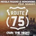 Own The Night (Alex Guesta Tribal Mix)专辑