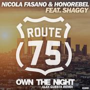 Own The Night (Alex Guesta Tribal Mix)