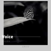 Voice