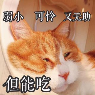 八组鹅的减肥歌单