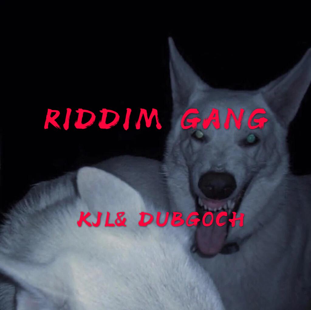 RIDDIM GANG专辑