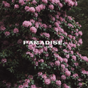 Paradise专辑