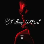 Falling Bird