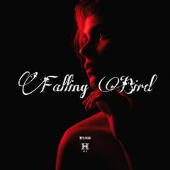 Falling Bird