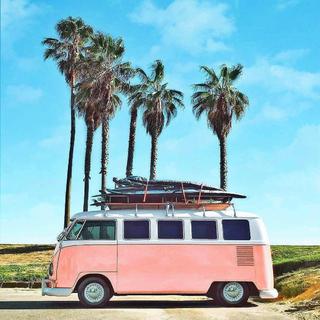 【逃亡派对】梦想和你一起亡命天涯