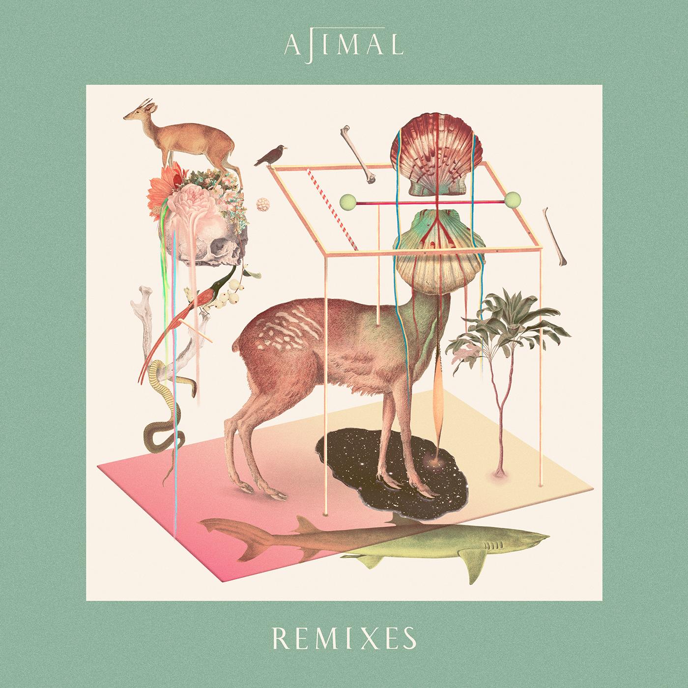 I've Known Your Heart [AVAWAVES Remix]