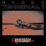 Terminal ONE (Dosgow Remix)专辑