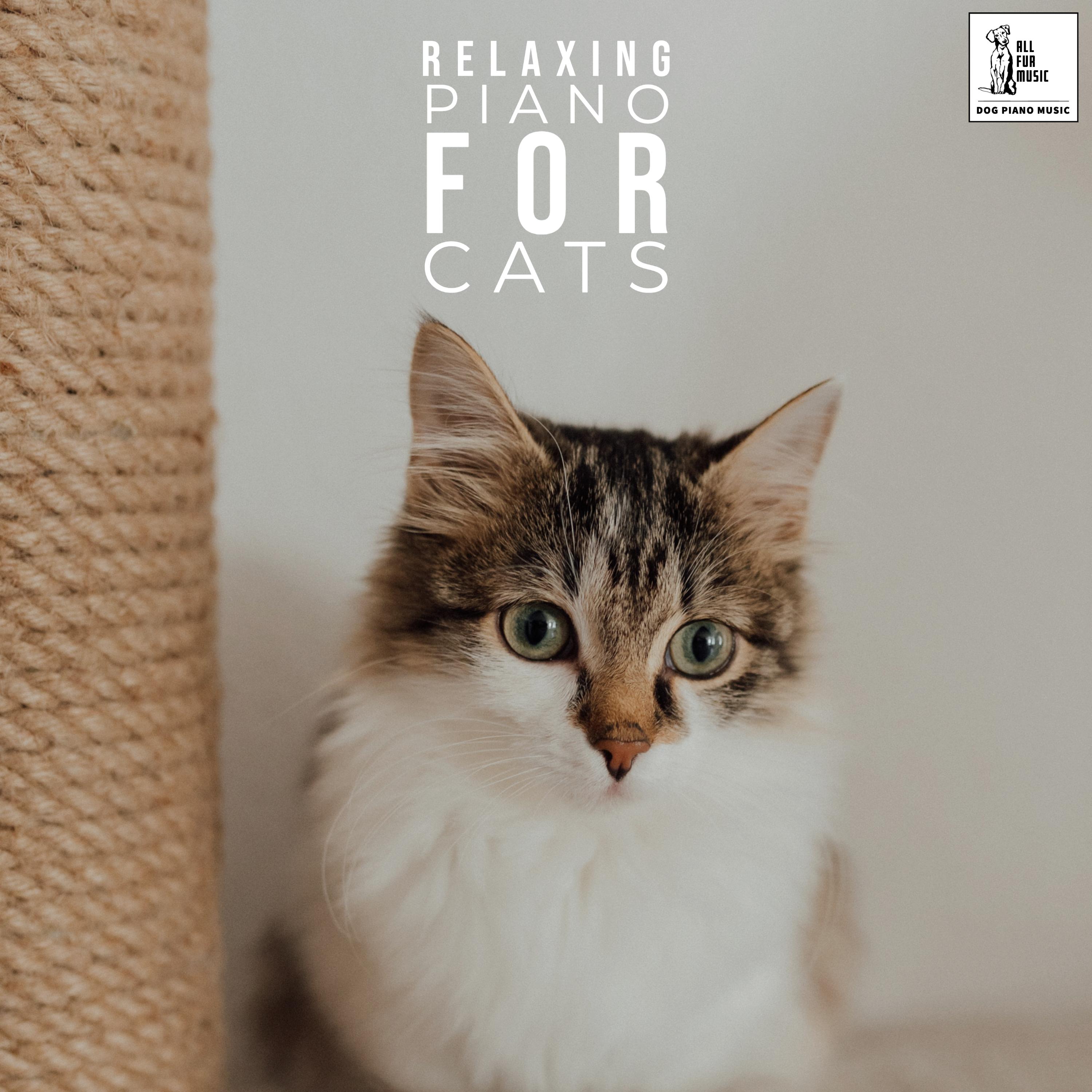 Relaxing Piano Music For Cats