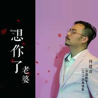 何建清-想你了老婆