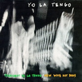 President Yo La Tengo