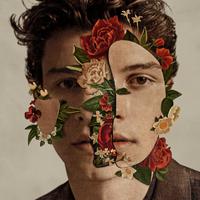 Mutual - Shawn Mendes (unofficial Instrumental)