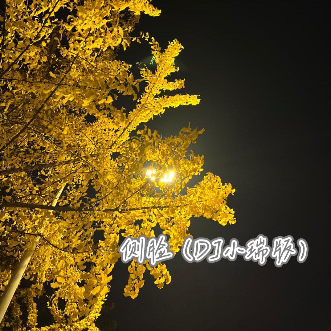 侧脸（DJ小瑞版）