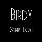 Skinny Love专辑