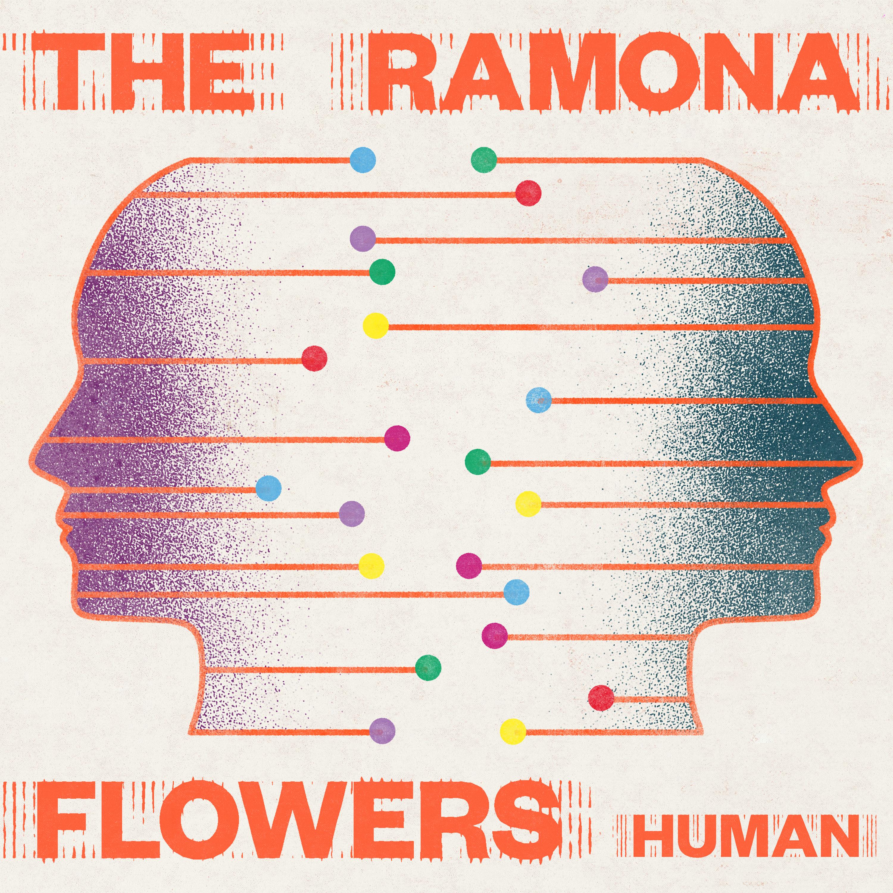 Human