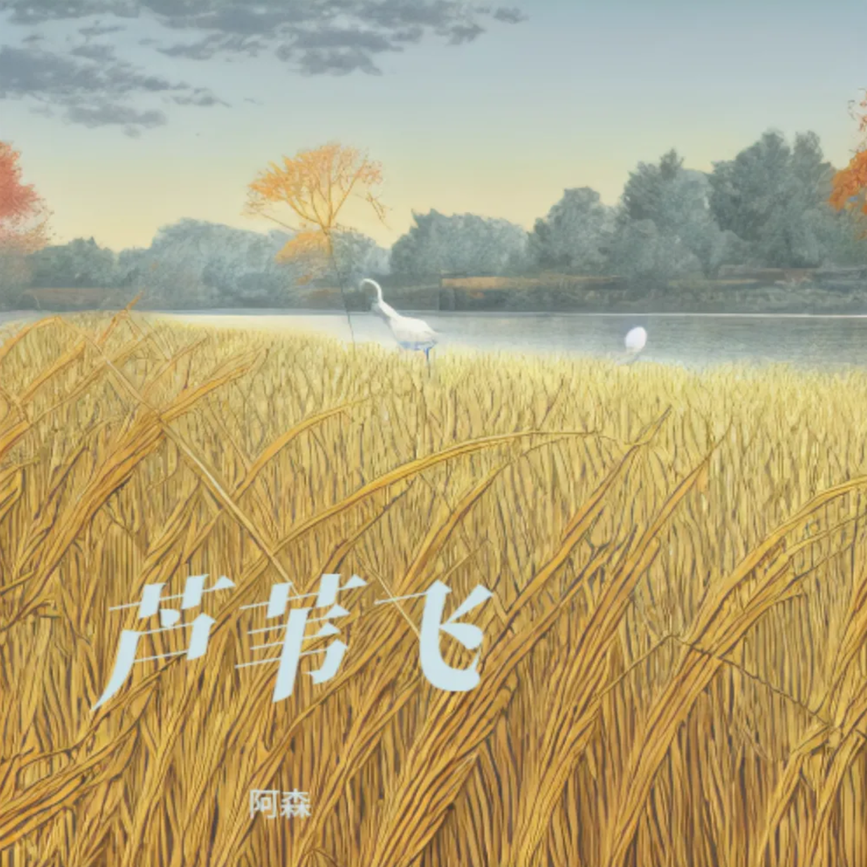 芦苇飞
