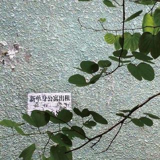 与失眠夜晚的窃窃私语「华语治愈系」