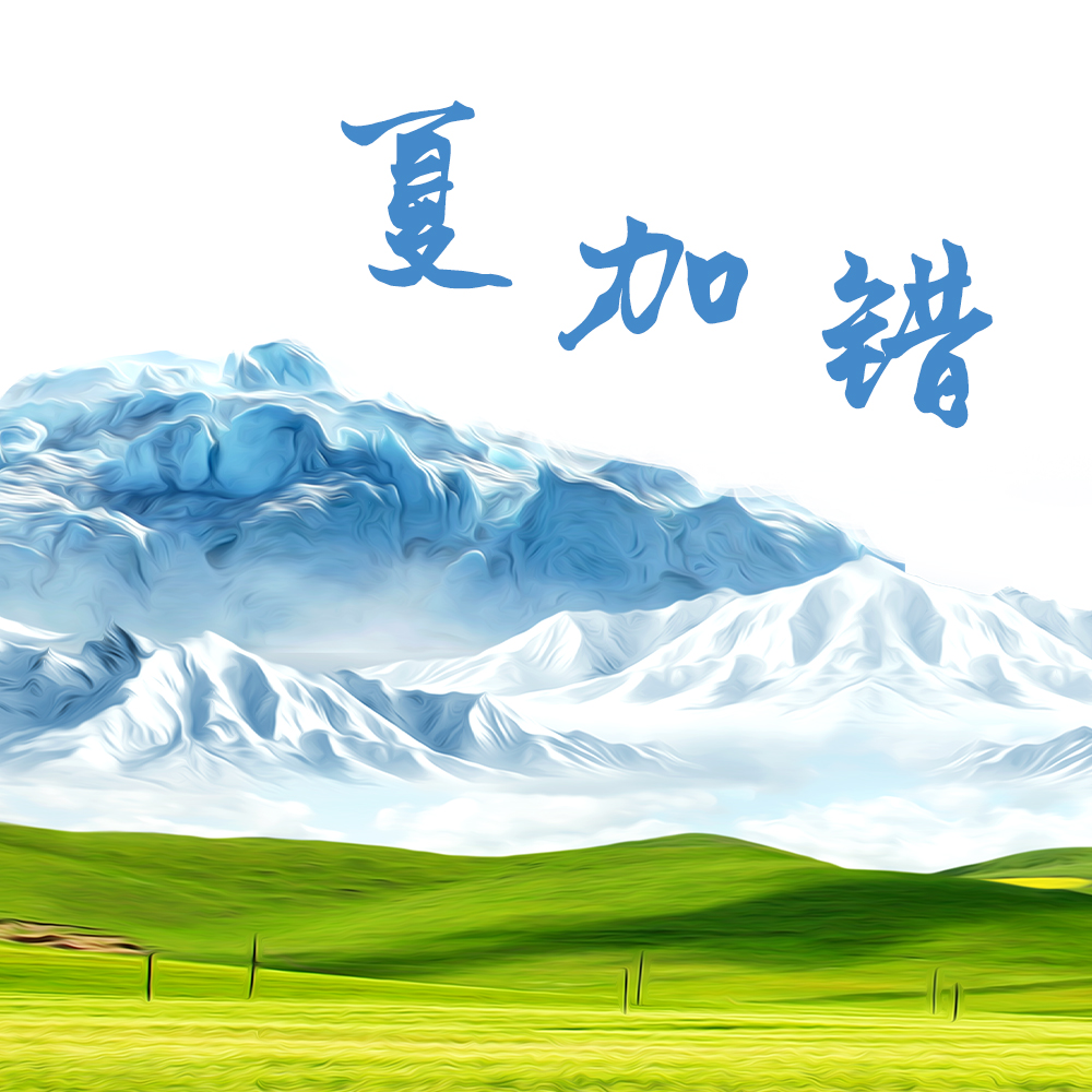 夏加错