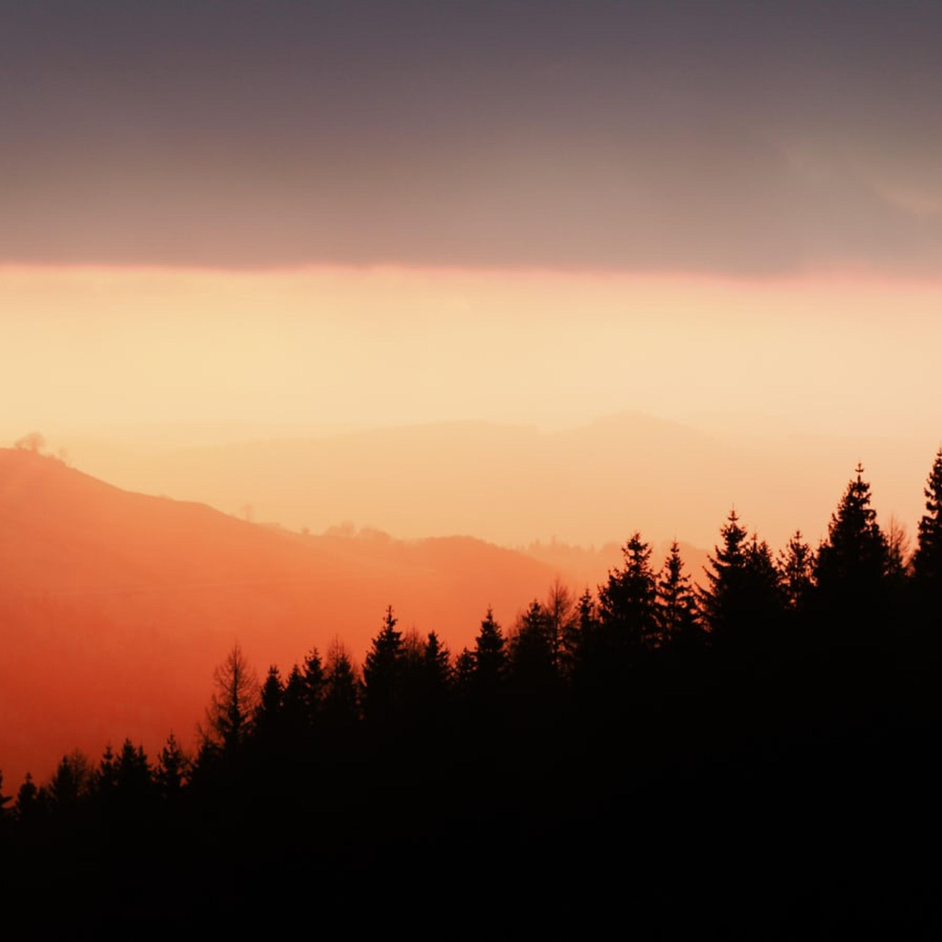 Calm & Affirming Sounds of Nature | Deep Sleep